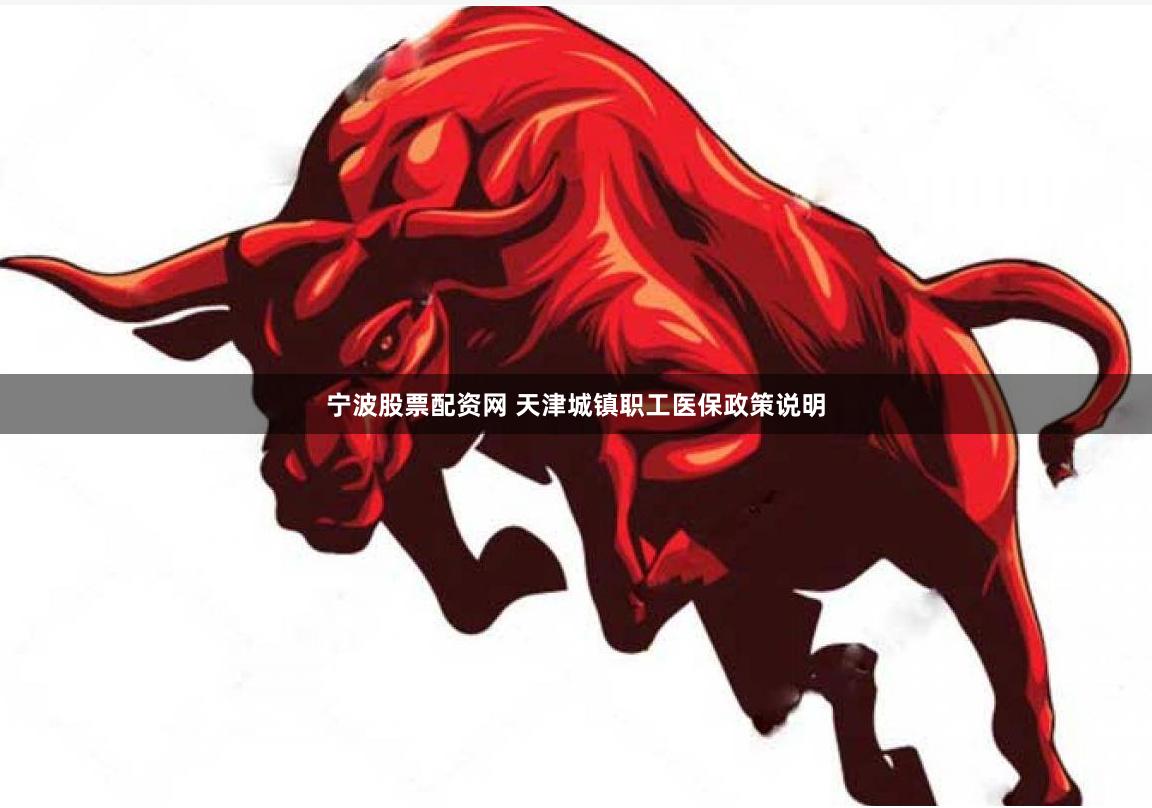 宁波股票配资网 天津城镇职工医保政策说明
