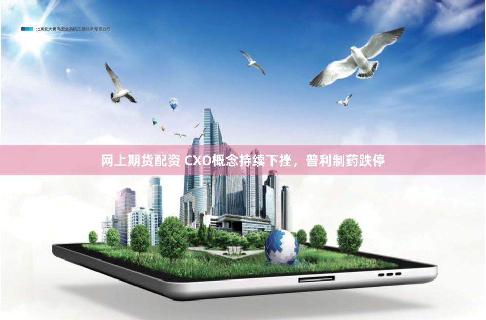 网上期货配资 CXO概念持续下挫，普利制药跌停