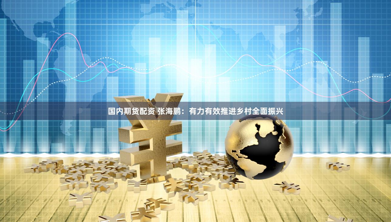 国内期货配资 张海鹏：有力有效推进乡村全面振兴
